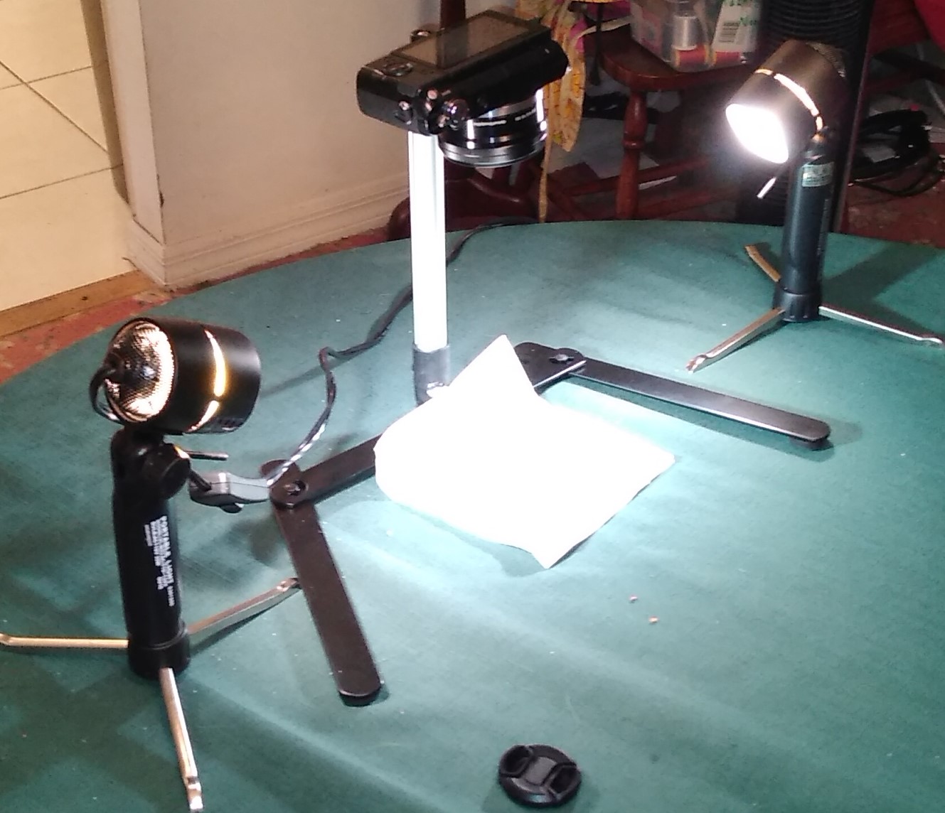My-Beginner's-Macro-Camera-Stand-For-$12-On-Amazon---What-Do-You-Think?